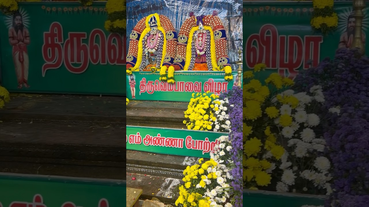 Sivan WhatsApp status Tamil #trending #motivation #sivantemple #love #sivantemples #travel #facts