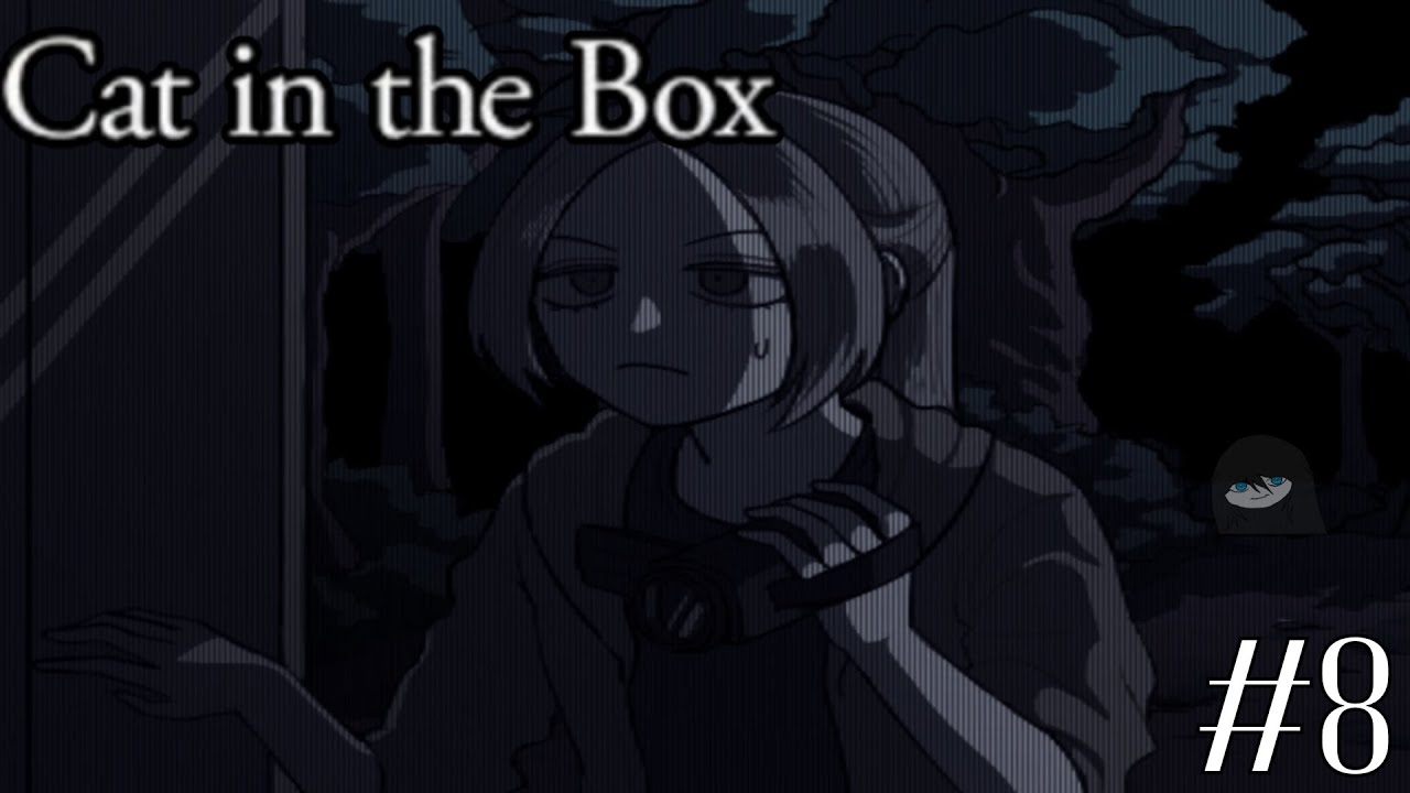 Cat in the Box Part8 แมวติดLoopไร้ที่สิ้นสุด