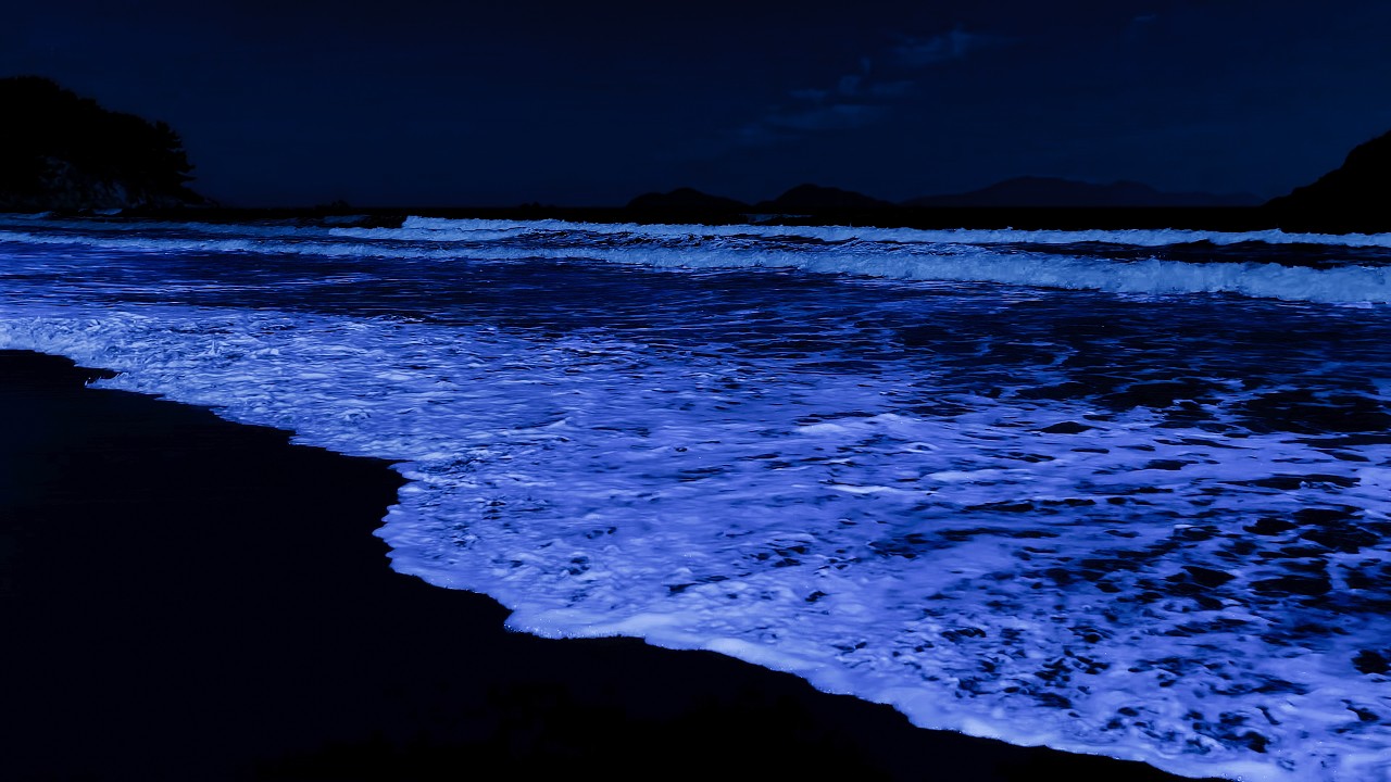Regain Your Energy and Mental Recovery with Tranquil Seaside Night - Ocean Waves for Deep Sleep