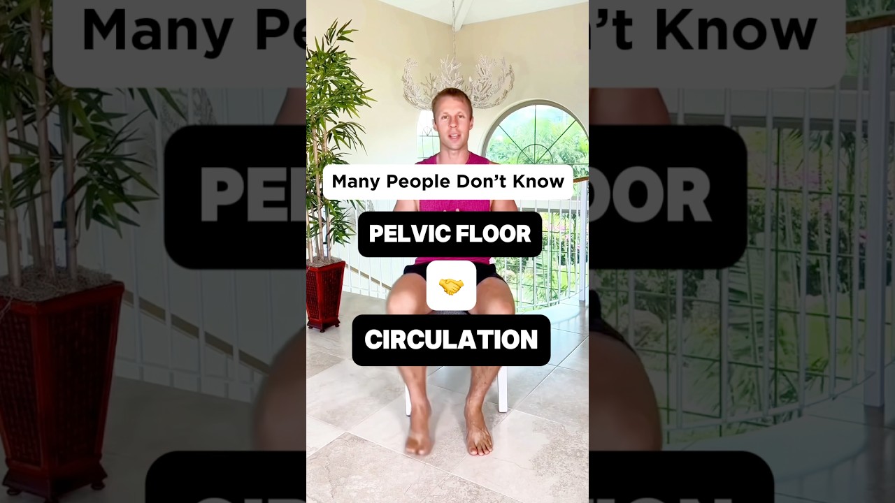 Pelvic Floor 🤝 Circulation #pelvicfloor #mobility