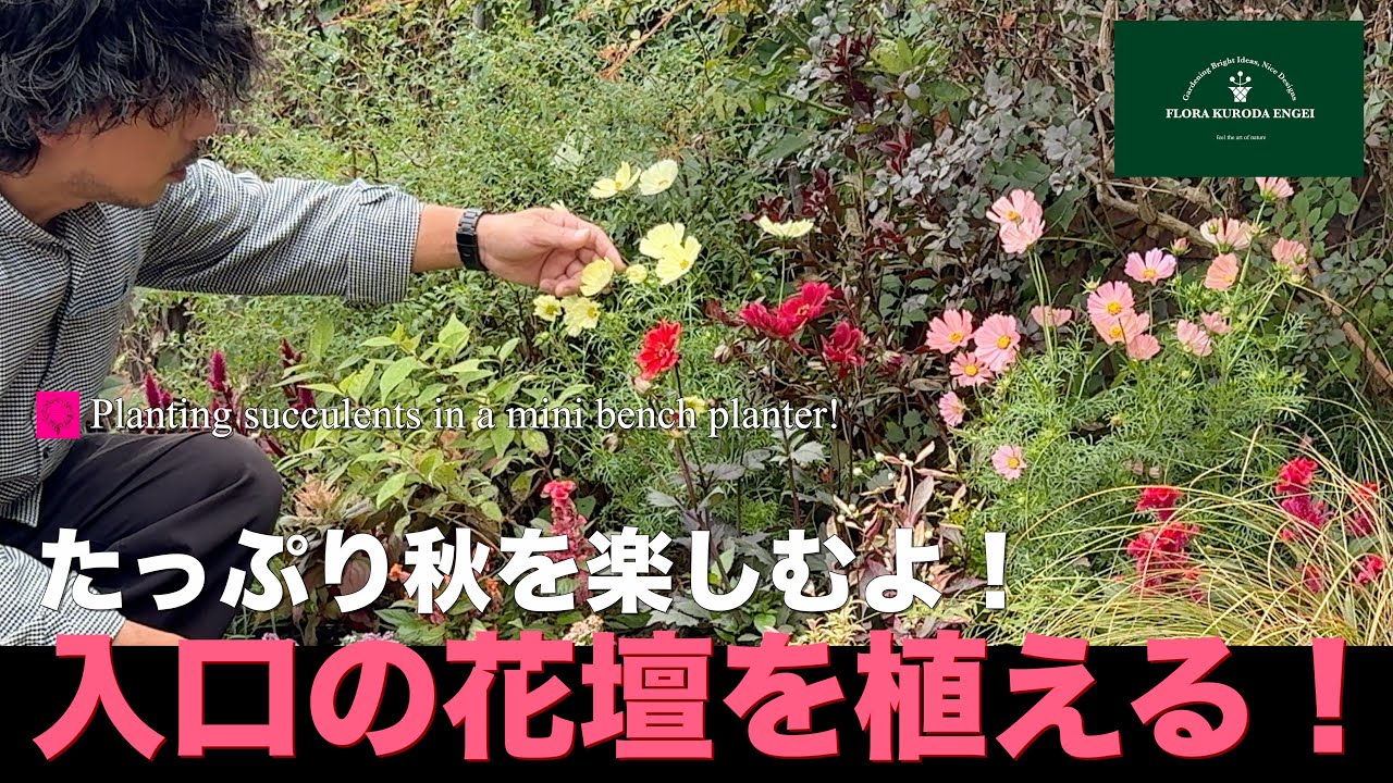 【たっぷり秋を楽しむよ！】お店入口の花壇を植える！「秋のガーデニング」-フローラ黒田園芸- #ガーデニング #園芸 #寄せ植え #庭作業 #花壇 