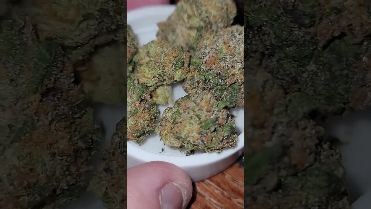 🚀🚀🚀🚀🚀DOJA ~ MAGIC MARKER INDOOR STRAIN 🔥🔥🔥🔥🔥🔥