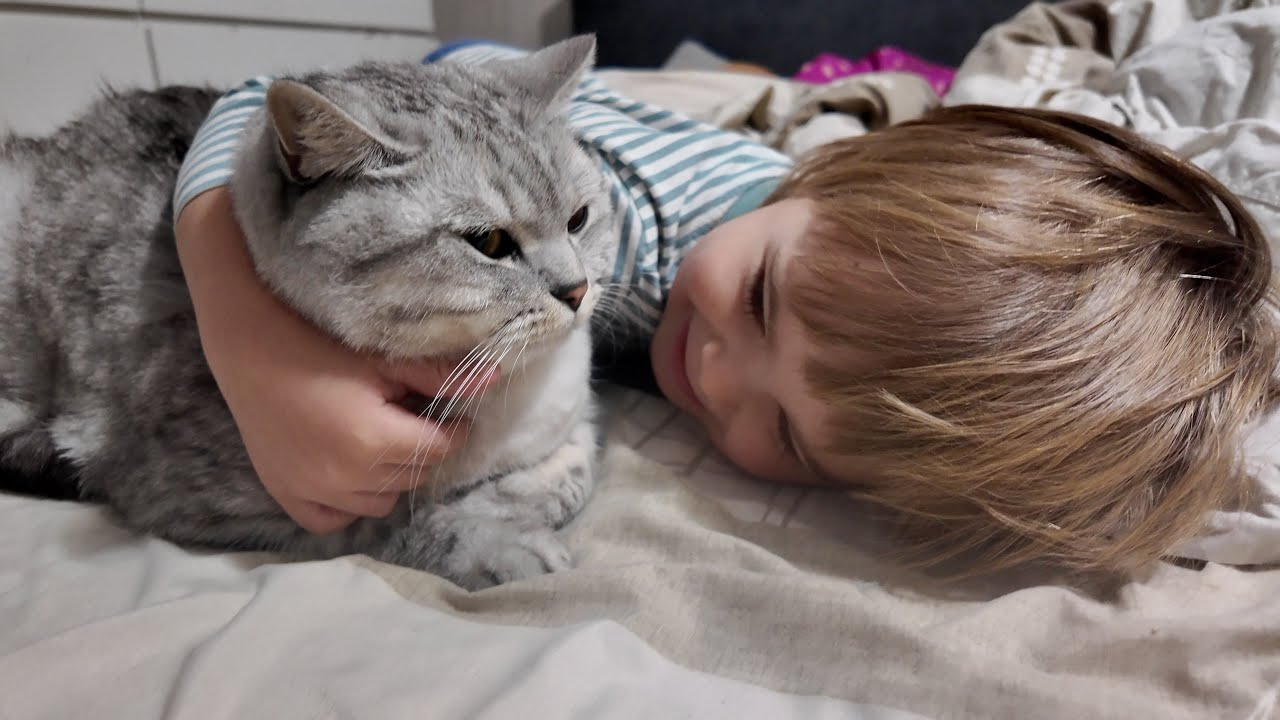 Утренняя рутина с моими лучшими друзьями