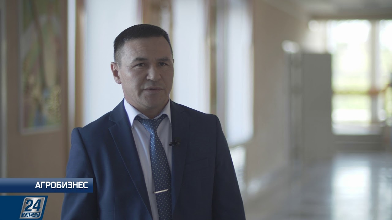 Как начать небольшой бизнес в сельском хозяйстве | Агробизнес