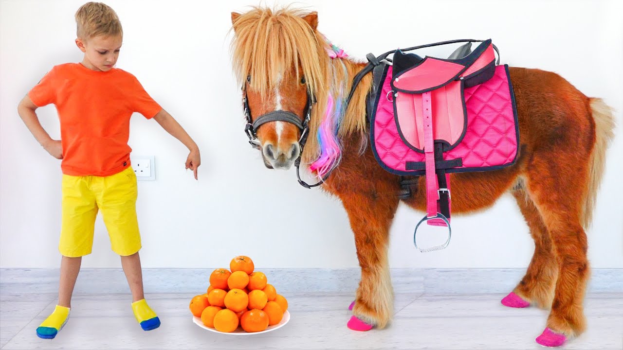 Влад и мама выбирают новых питомцев