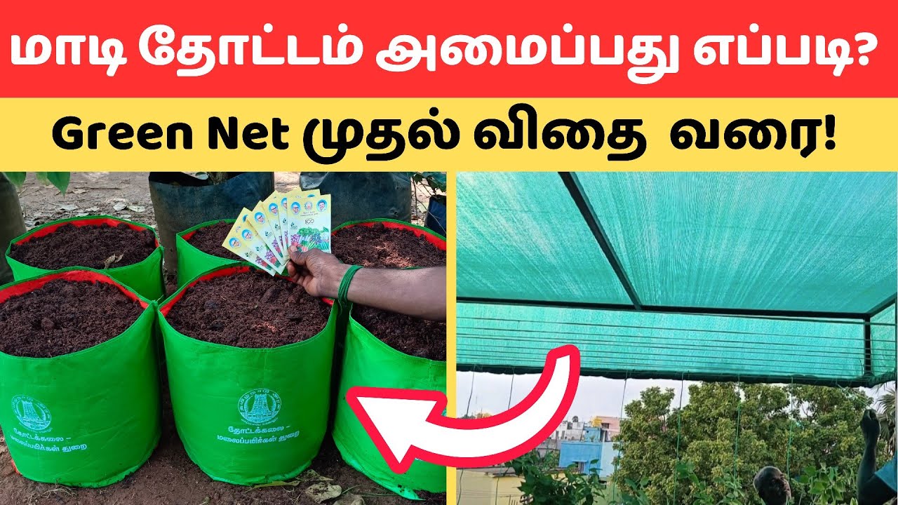 How to Setup Terrace Garden | மாடித்தோட்டம் அமைத்தல் முழு விவரம் | Terrace Gardening tips Tamil