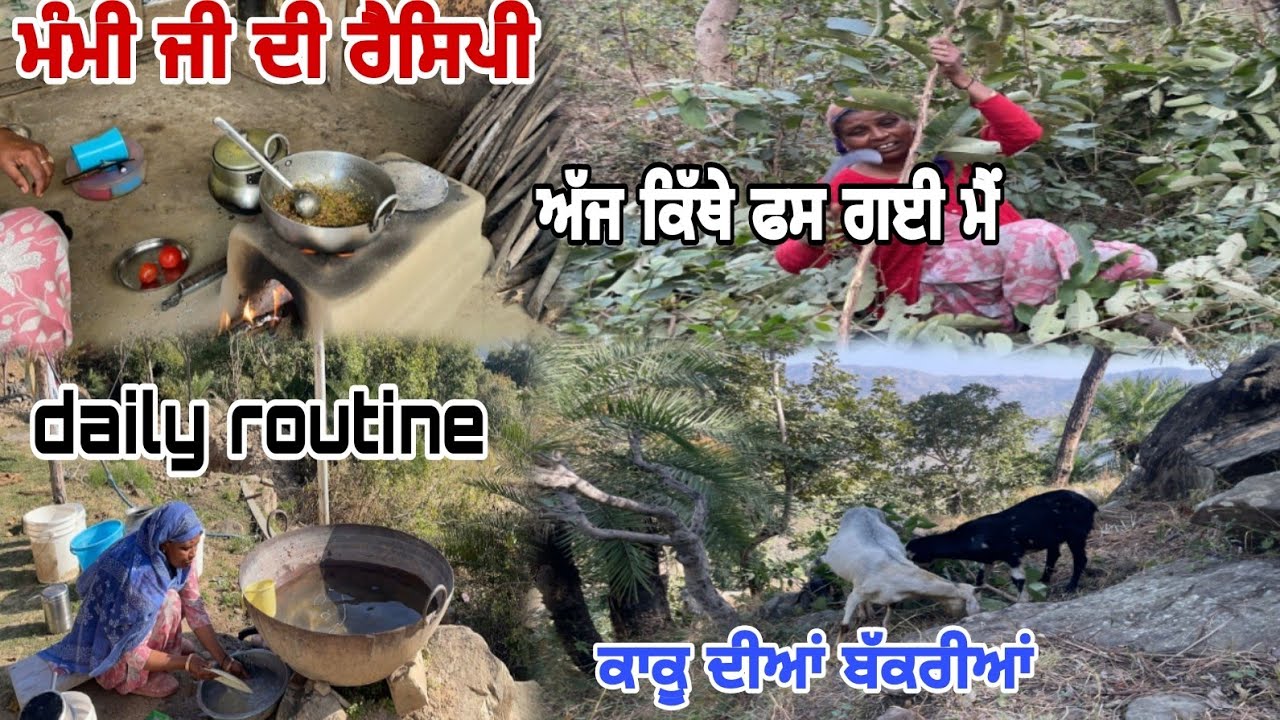 ਮੰਮੀ ਕਹਿੰਦੀ ਅੱਜ ਮੈਂ ਕਿੱਥੇ ਫਸ ਗਈ !@mamijivlogs