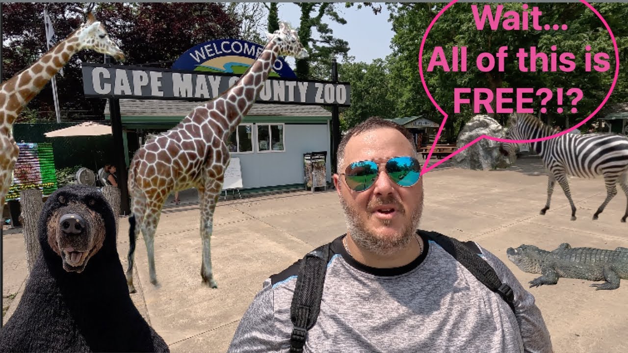 Spent the Day at CAPE MAY COUNTY ZOO - NJ!! #free #adventure #travel #youtube #summer #viral #zoo