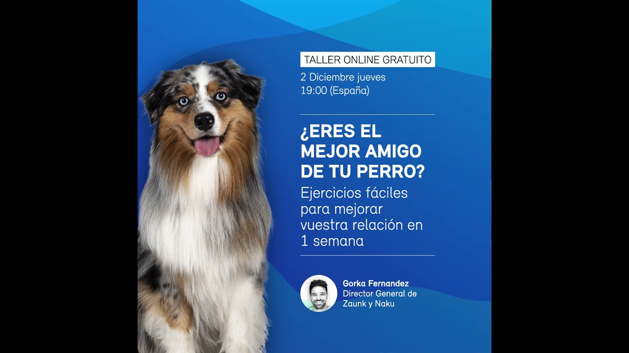 Ejercicios f&aacute;ciles para mejorar el v&iacute;nculo con tu perro en 1 semana