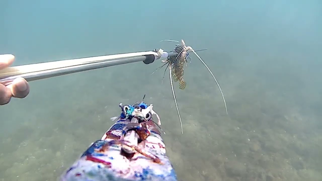 Stranded on a Desert Island for 2 Days | Survival Fishing & Wild Seafood Feast