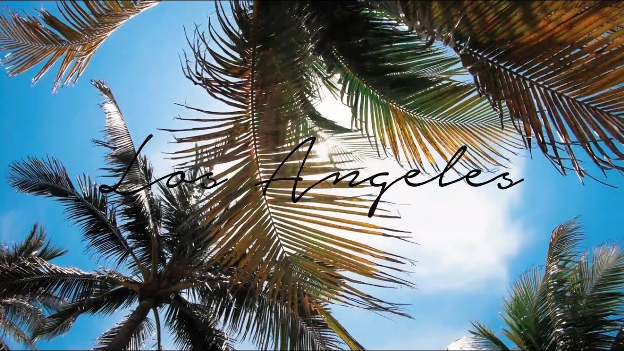 Spotlight on Success | Real Estate Agent Profile Video