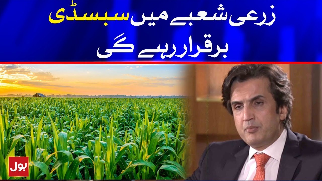 Khusro Bakhtiar Is On Upcoming Budget | BOL News
