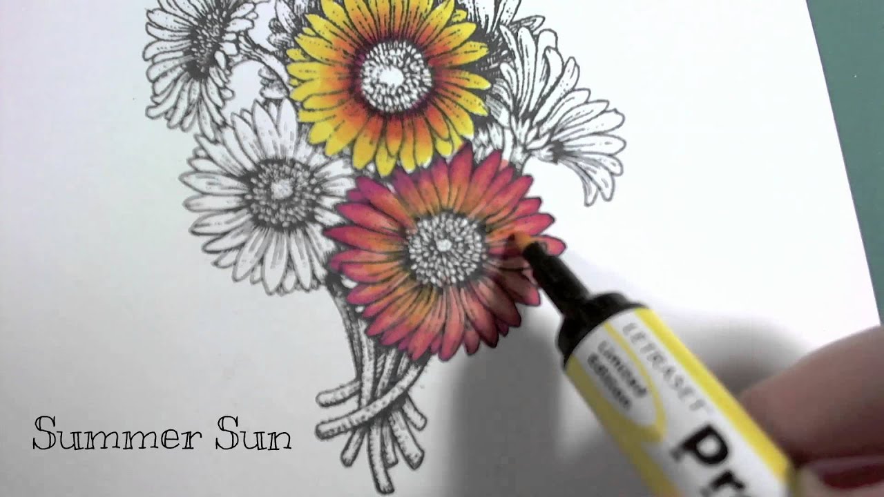 ProMarker Tutorial