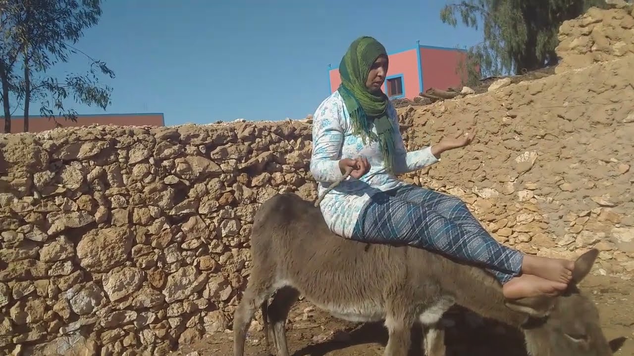 اليوم درت تحدي مع نفسي من الحمار طلعت في الكرمة🙄💪صعيبا