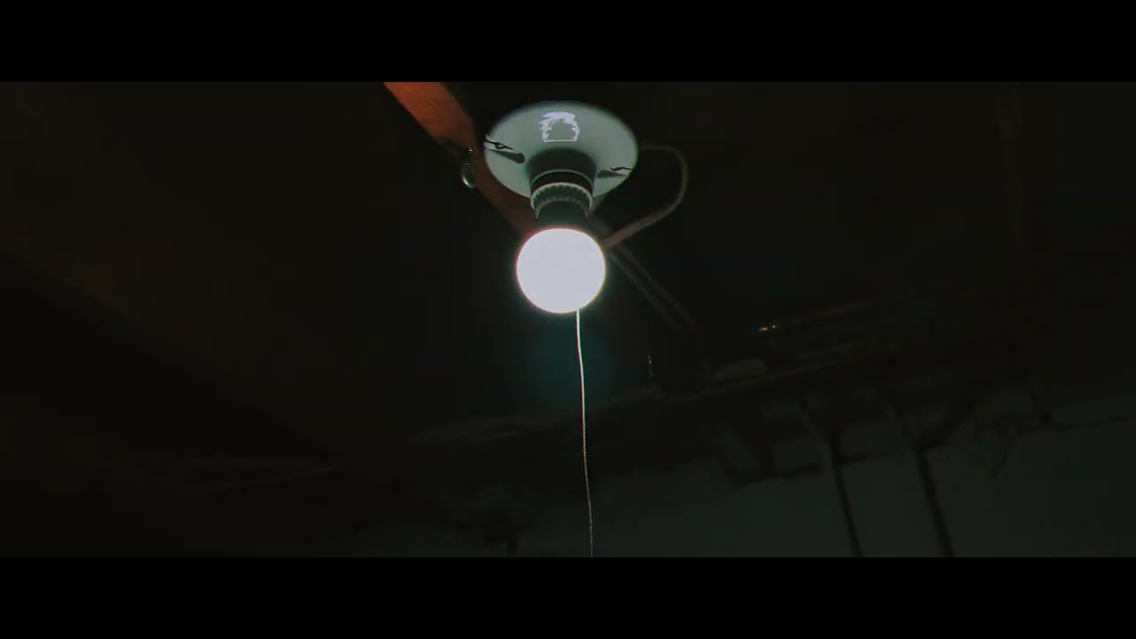 Film Distortion Effect - Filmic Pro - Videoleap