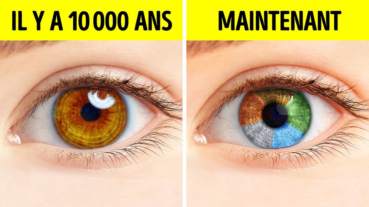 Avant, Les Gens n'Avaient qu'Une Seule Couleur d'Yeux
