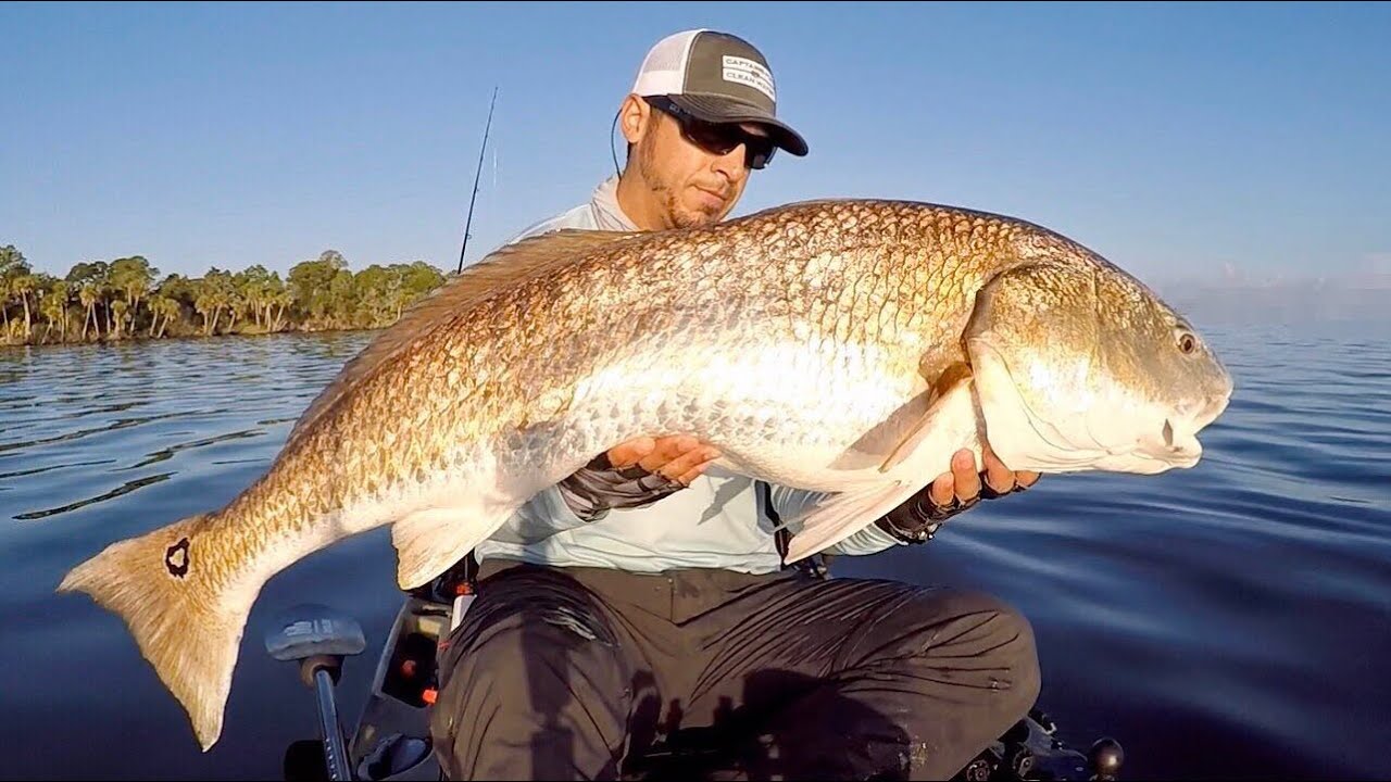 How To Land Big Fish (Redfish, Tarpon, Black Drum, Snook) On Light Tackle