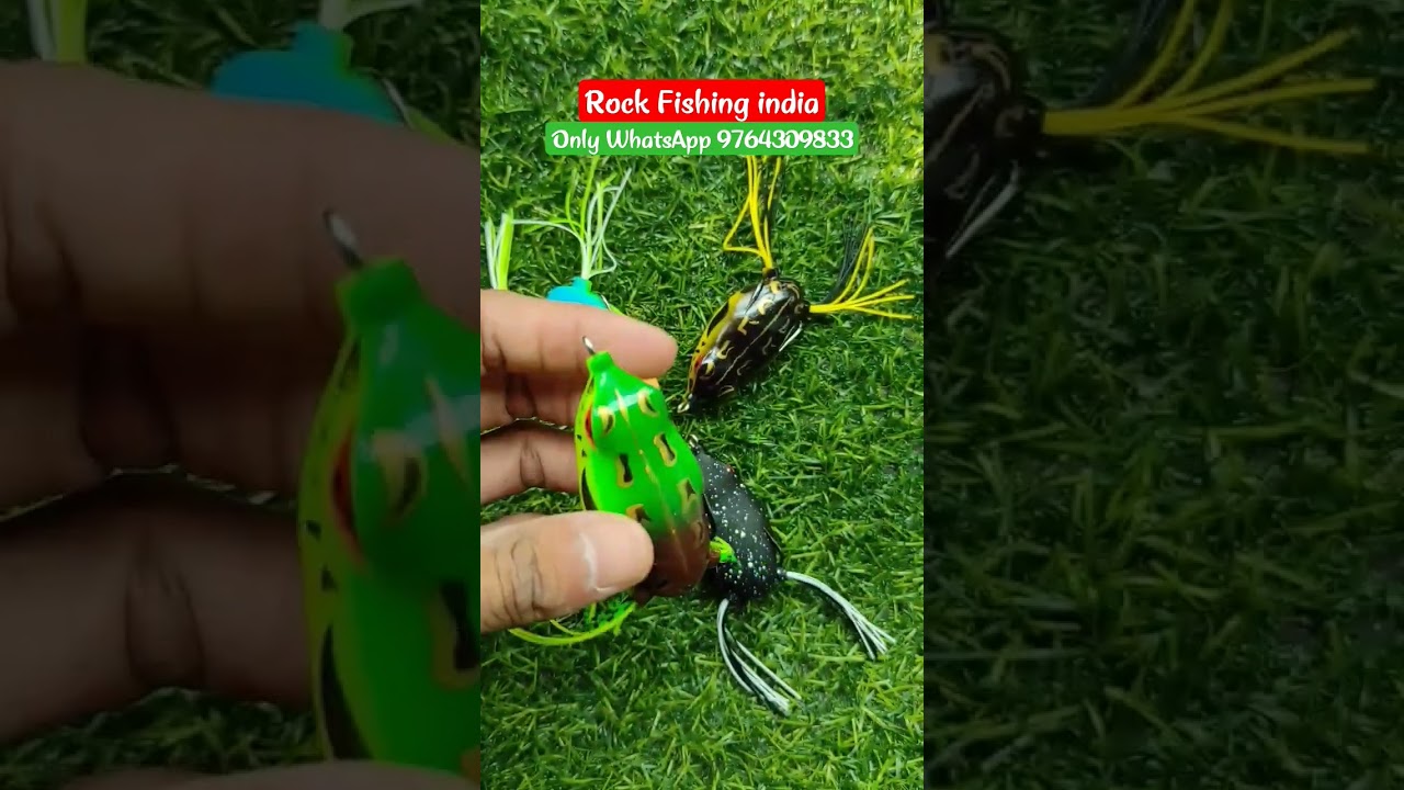 Soft Rubber Senshi Frog 18gm Lure For Snackhead #rockfish #fishingequipment #fishinglife