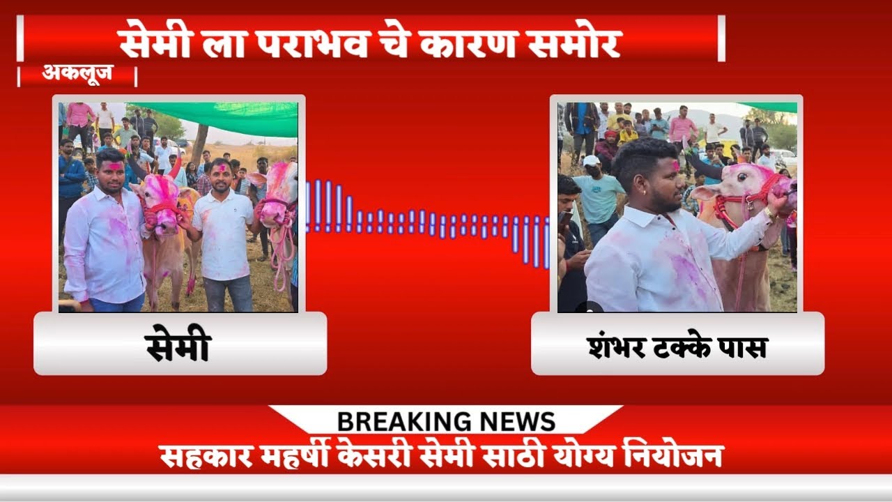 सहकार महर्षी केसरी शर्यत|sahakar maharshi kesari sharyat live|बकासुर आणि चिक्या#bakasur6300cc 