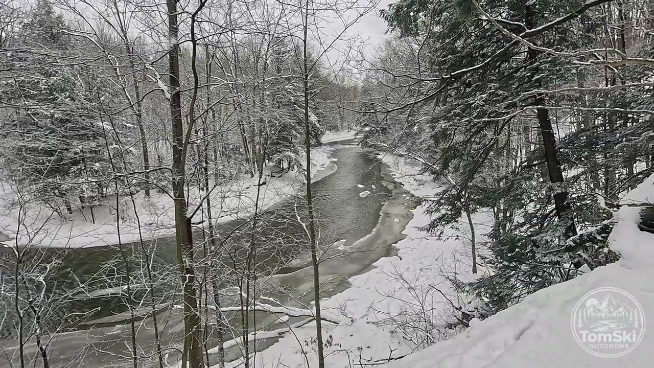 4K Trail POV - The Creek is Freezing Up!