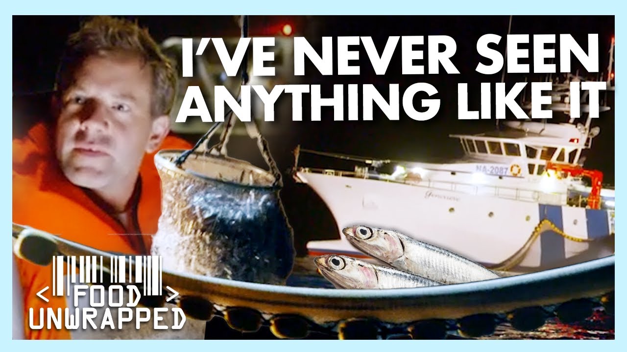 The Mind-Blowing Methods Needed to Catch an Anchovy | Food Unwrapped