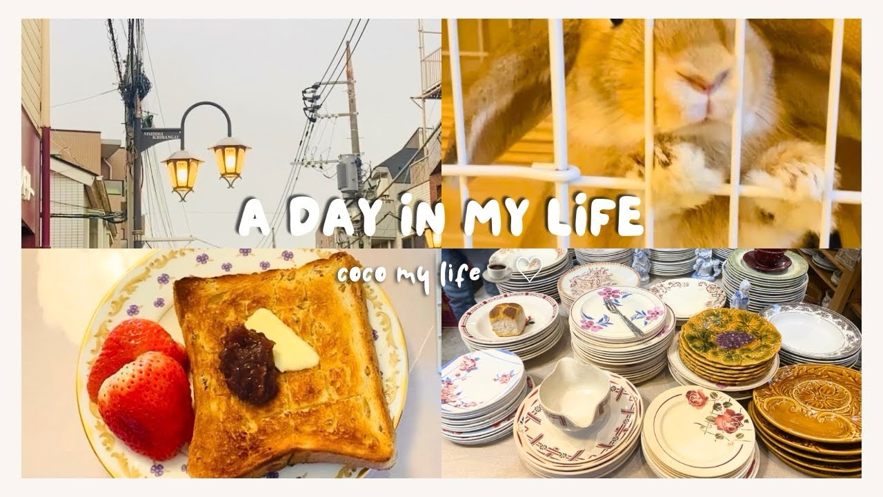 【vlog】都内在住社会人のフランスアンティーク食器店&おすすめ隠れ家カフェIN西荻窪🚶🤍➕うさぎ🐰との日常vlog🤍食器購入品の紹介