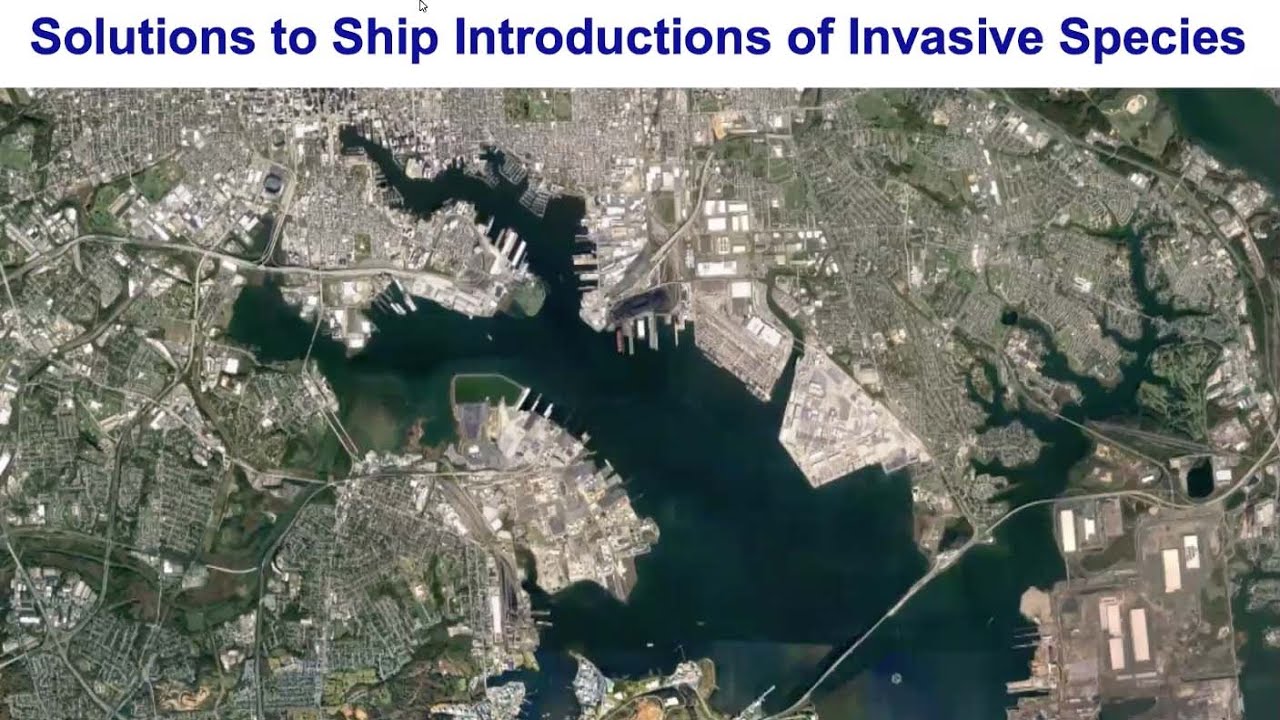 Solutions to Ship Introductions of Invasive Species
