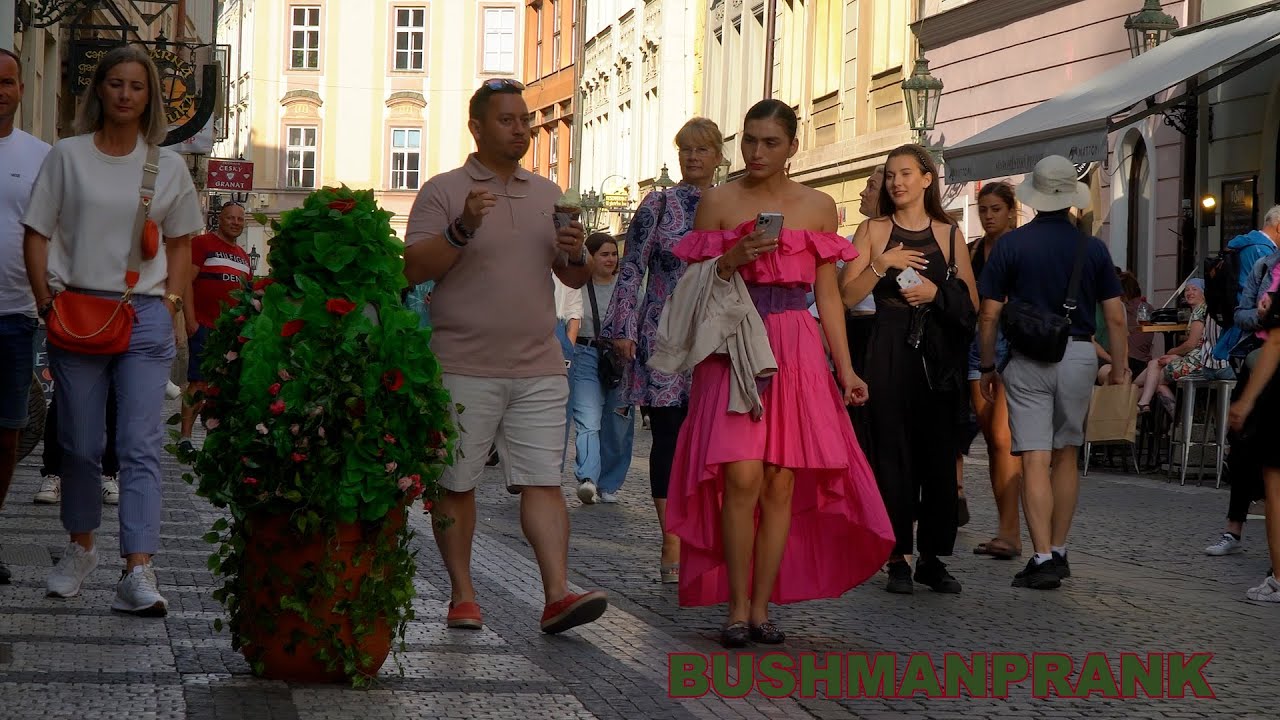 Bushman Prank Scares People in Public 😁 Funniest Reactions.