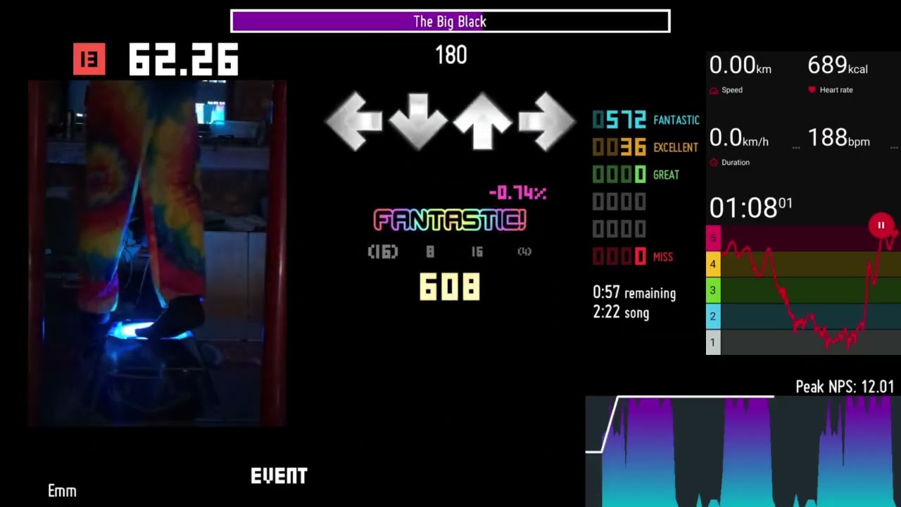 [ITG] The Big Black [13] 98.78% Full Excellent Combo (with Heart Rate)