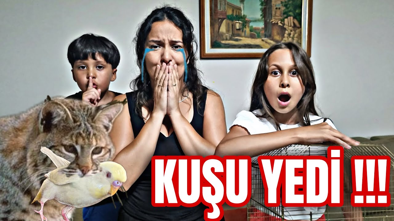 Kuşumuz  Kayboldu? Kedi kuşumuzu Yedi !! 😱😱😱