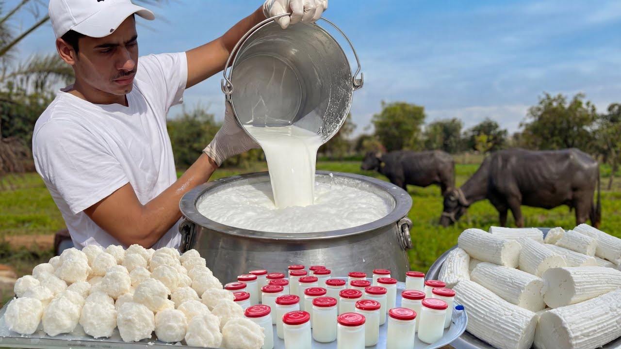 DIY | How I Turned Fresh Milk Into Cheese, Butter and Ghee 