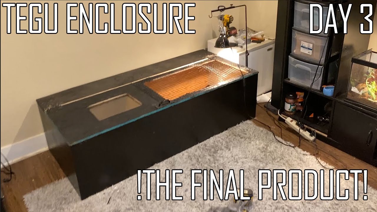 Building A DIY Argentine Tegu Enclosure - DAY 3: The Final Product - LIVE FEEDING