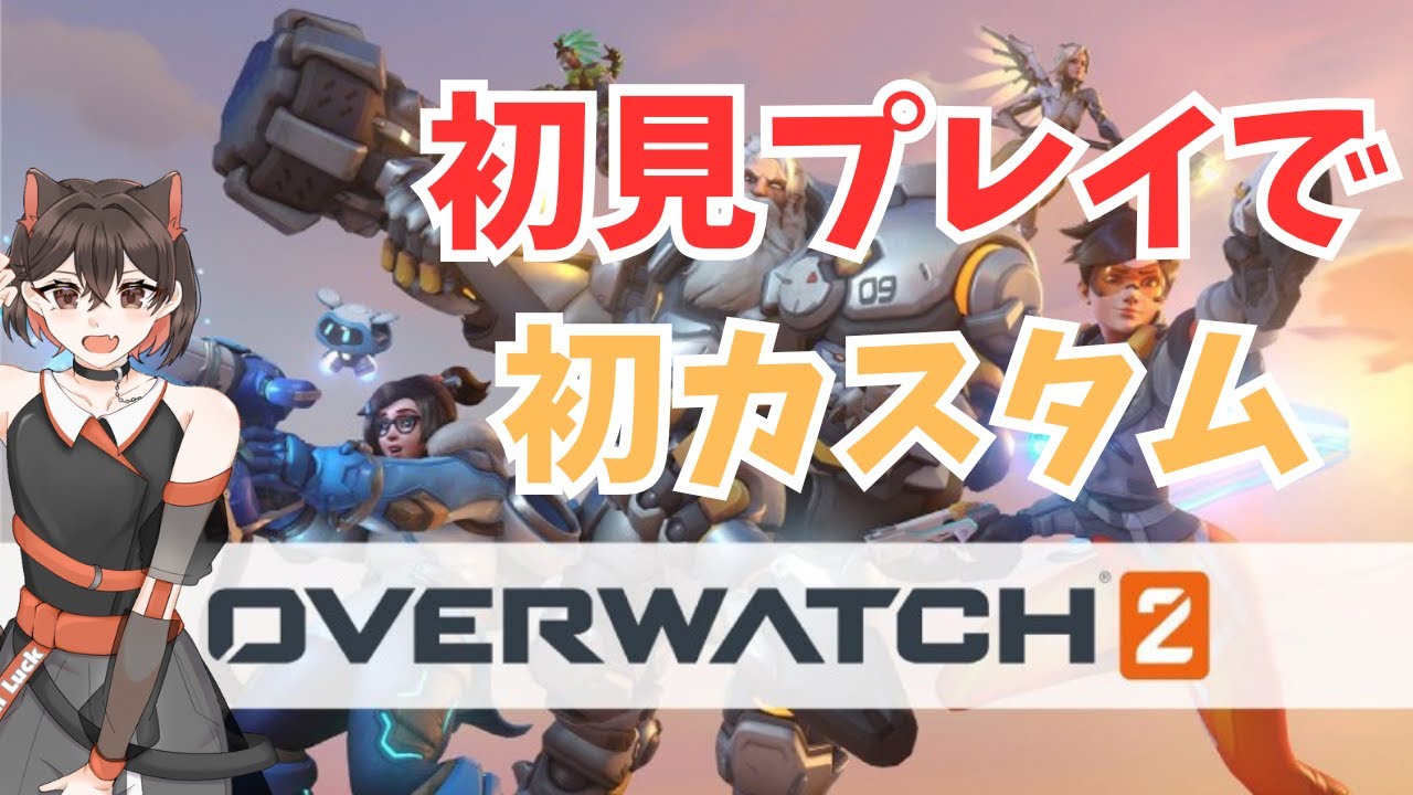 【オーバーウォッチ】 ミリしらオーバーウォッチカスタム