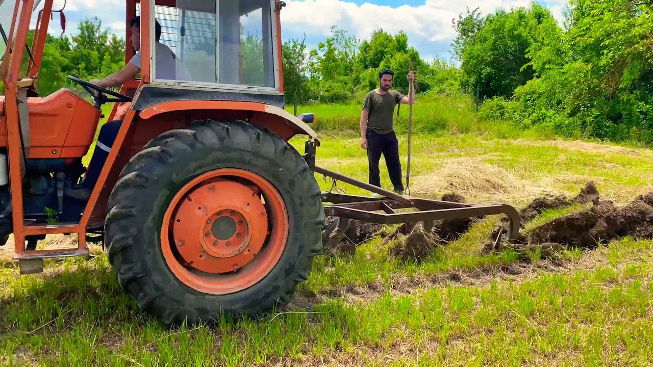 FİAT 480 traktör tarla sürüyor - çift sürme #traktör #tarla #çiftlik #pulluk #işmakinesi