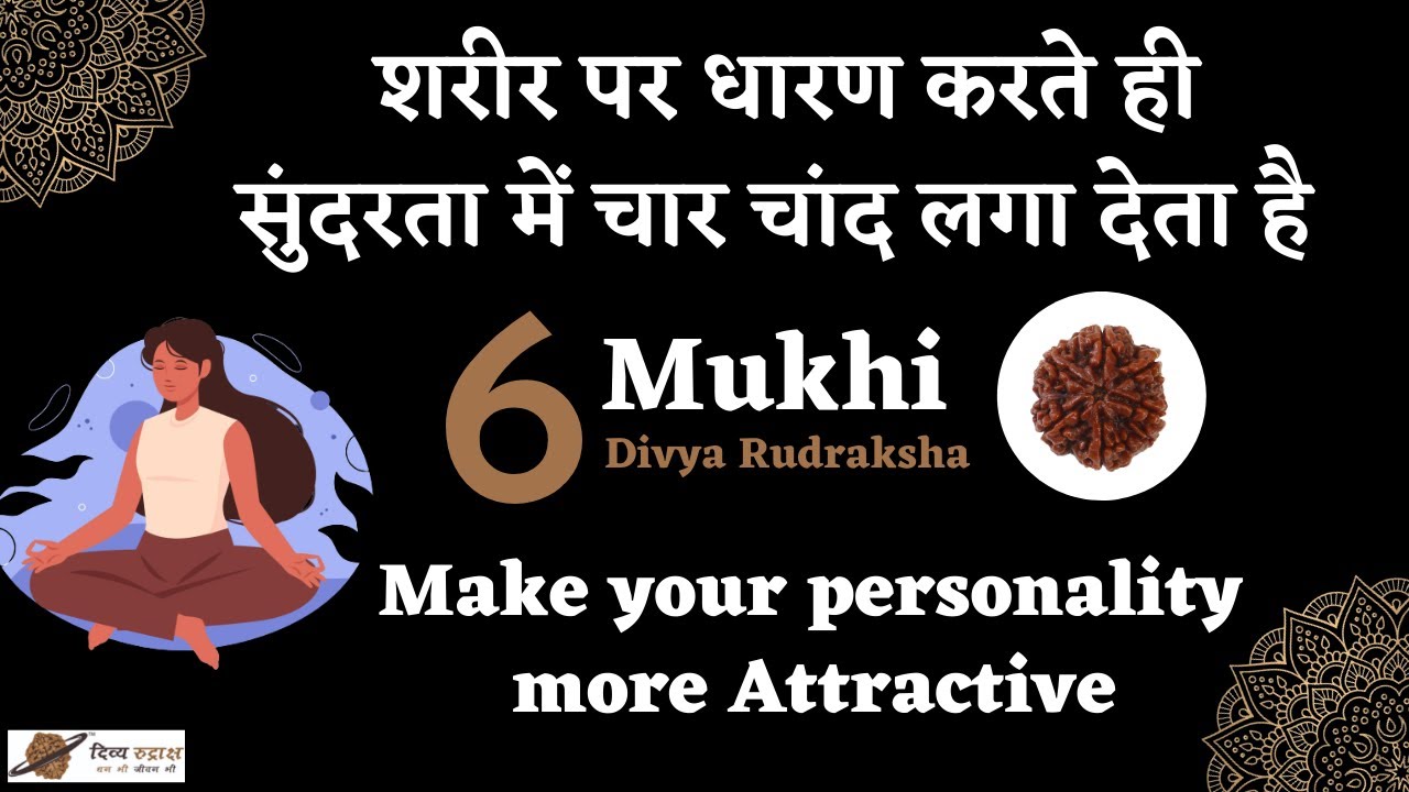 6 Mukhi Divya Rudraksha | 6 Mukhi Rudraksha