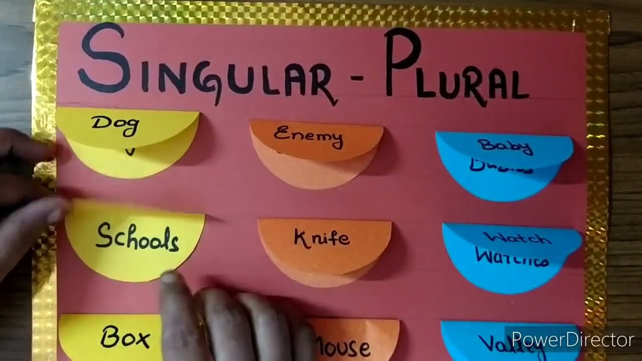 Singular Plural Activity 