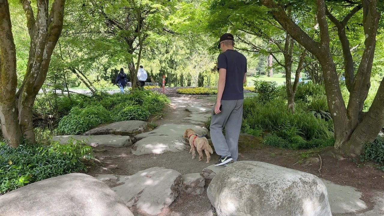 初夏本拿比中央公园 走一走 疗愈身心【Garden Time 田园生活分享】2025 5