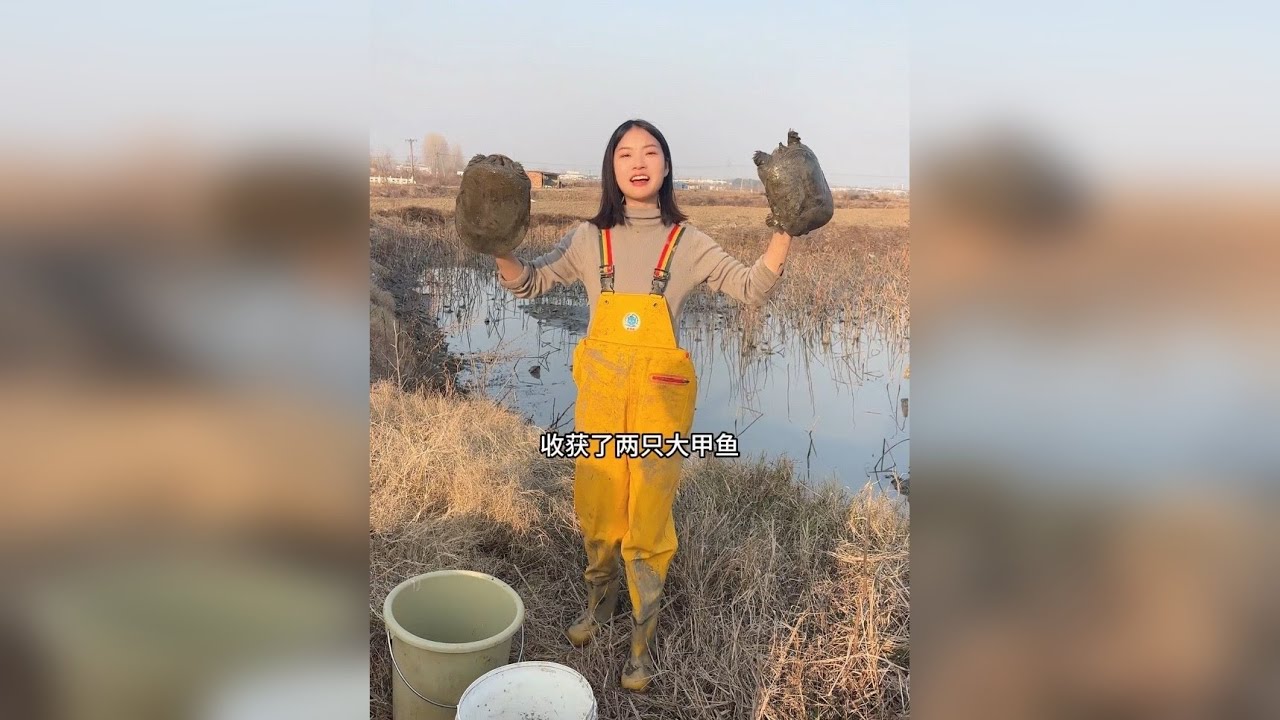 今天，帮姐姐家干塘，看看在鱼米之乡的湖北，无人管理的一口藕塘，可以收获多少硬货？