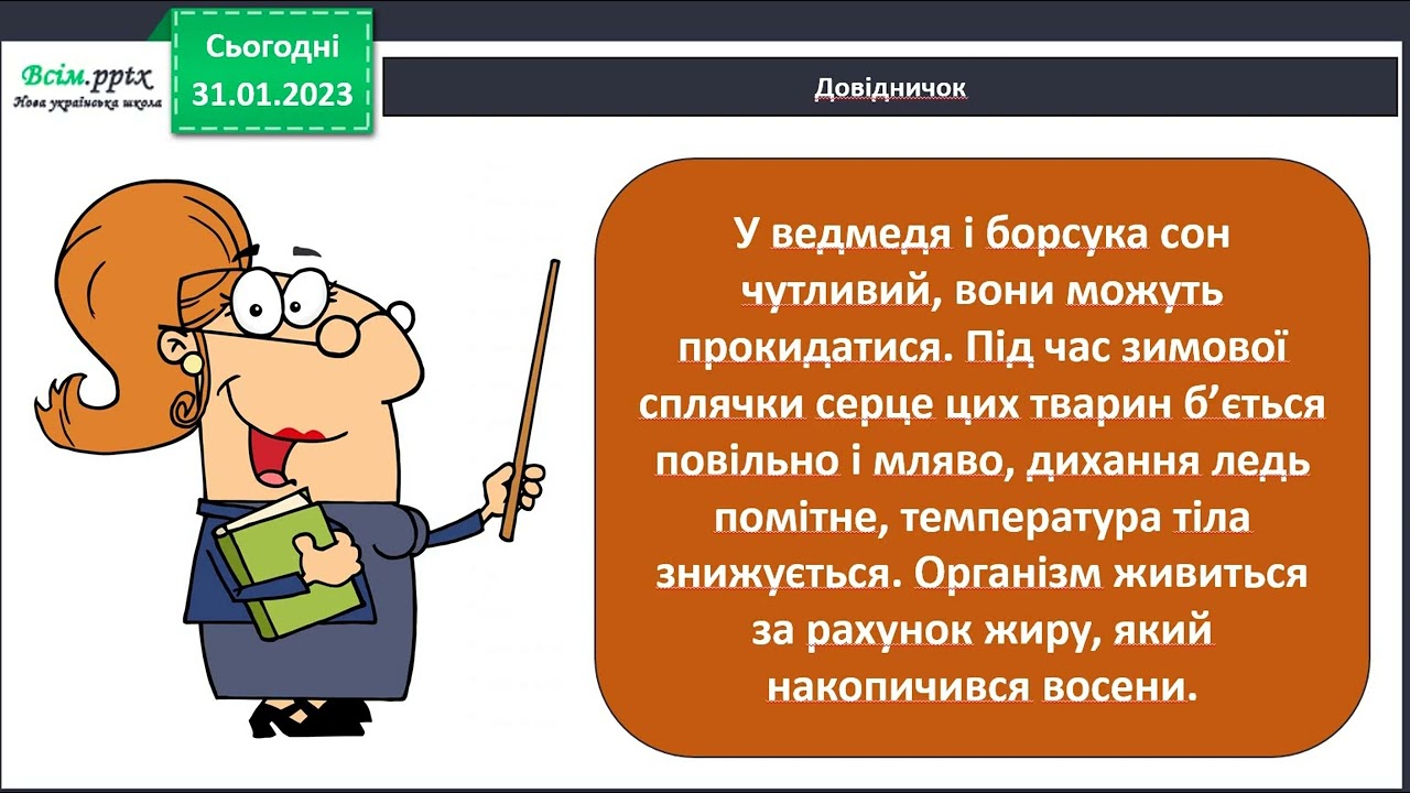Як звірі пристосувалися до життя взимку?