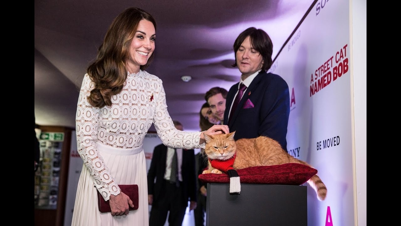Duchess of Cambridge meets street cat named Bob | 5 News