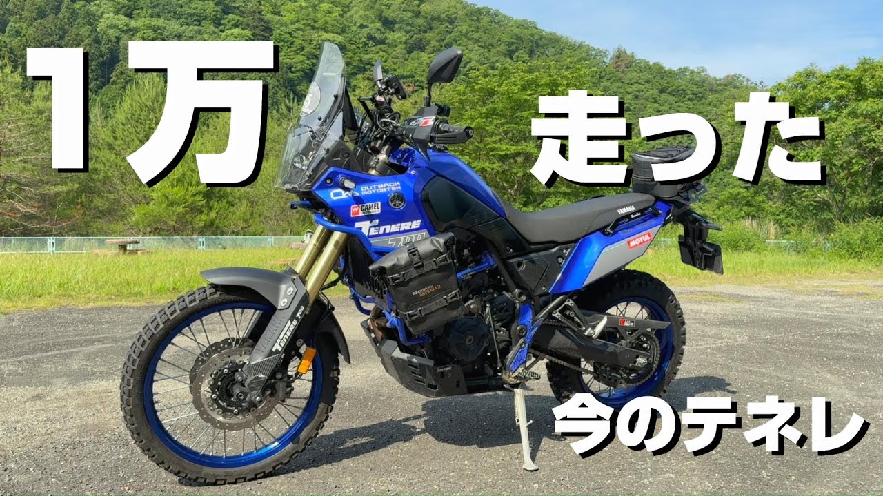 1万走った今のテネレ