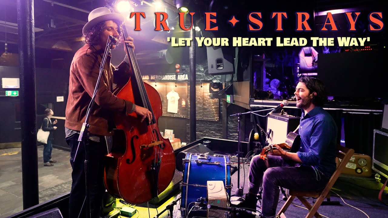 'Let Your Heart Lead The Way' TRUE STRAYS (The Fleece, Bristol) BOPFLIX sessions