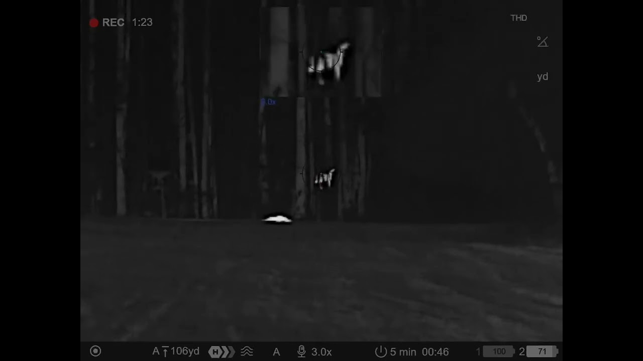 Alabama Boar Hunt using Pulsar Thermal