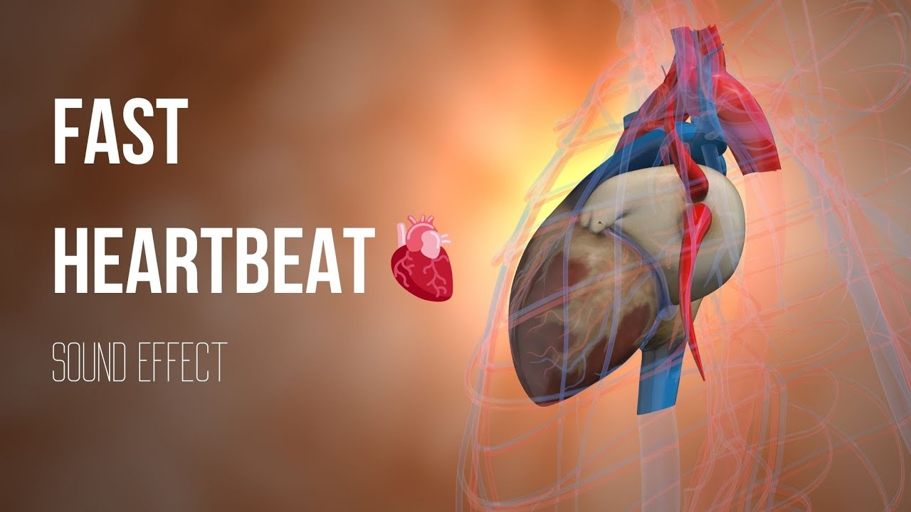 Rapid heartbeat 🫀 | free sound effect