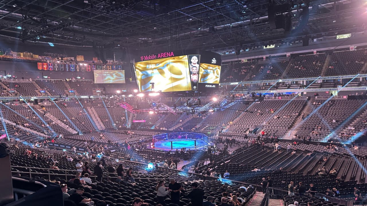 GOING TO VEGAS FOR UFC 300