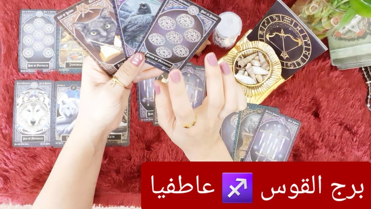 كلام كثير بينك وبين الشريك يابرج القوس ♐ قراءة عاطفية #ابراج #برج_القوس 