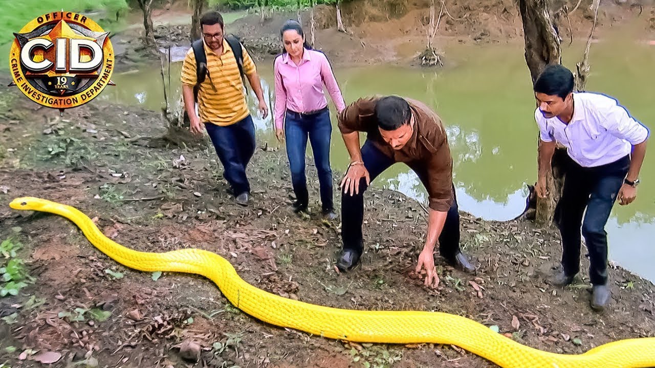 Team CID का हुआ जब इस आदमखोर सांप से सामना | Latest Episode | BEST OF CID | New Episode