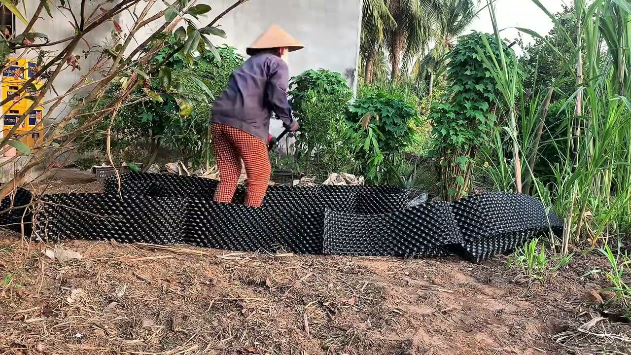 Hành trình cải tạo lại khu vườn nhỏ của Diệu #