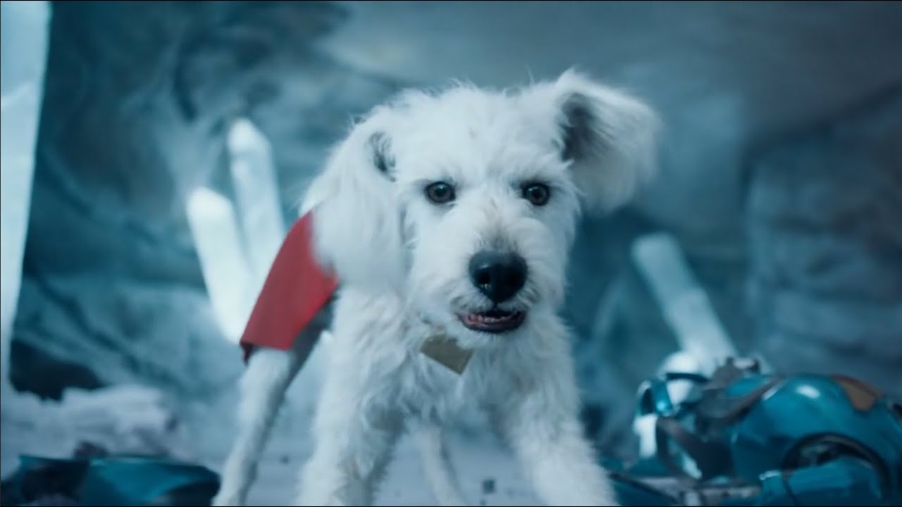 Krypto (DCU) Powers and Fight Scenes - Superman Part 1