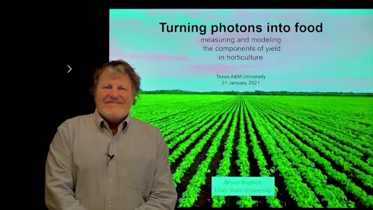 Turning Photons Into Food